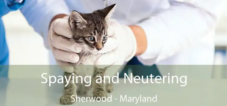 Spaying and Neutering Sherwood - Maryland