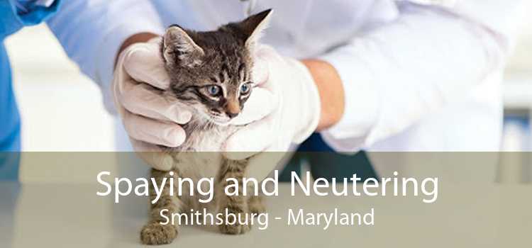 Spaying and Neutering Smithsburg - Maryland