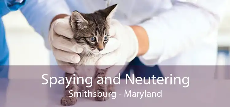 Spaying and Neutering Smithsburg - Maryland