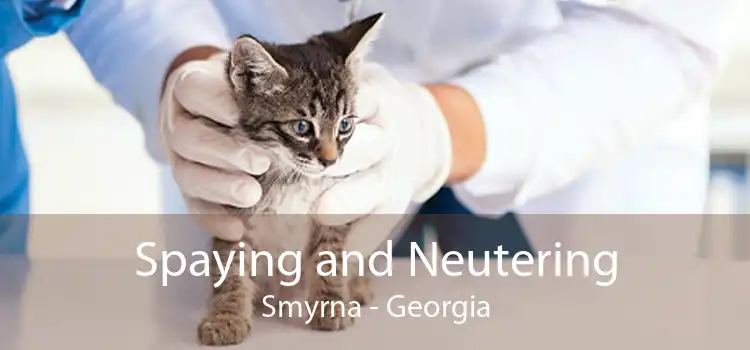 Spaying and Neutering Smyrna - Georgia
