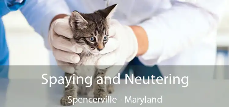 Spaying and Neutering Spencerville - Maryland