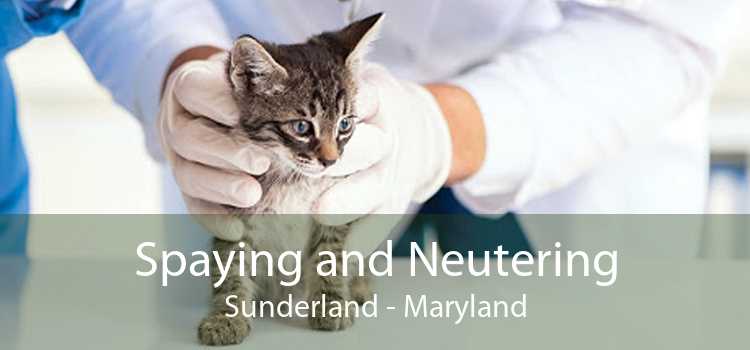 Spaying and Neutering Sunderland - Maryland