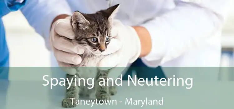 Spaying and Neutering Taneytown - Maryland