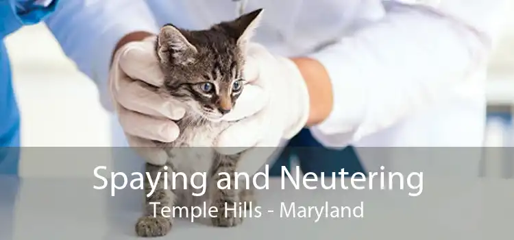 Spaying and Neutering Temple Hills - Maryland