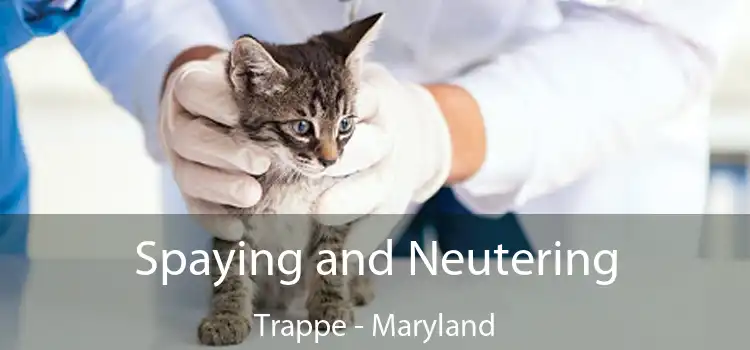 Spaying and Neutering Trappe - Maryland