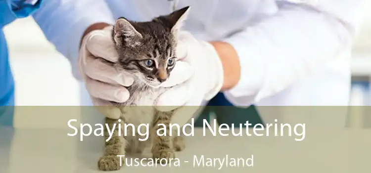 Spaying and Neutering Tuscarora - Maryland