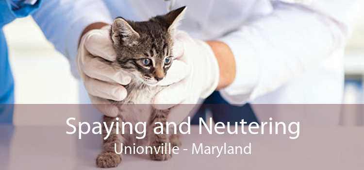 Spaying and Neutering Unionville - Maryland