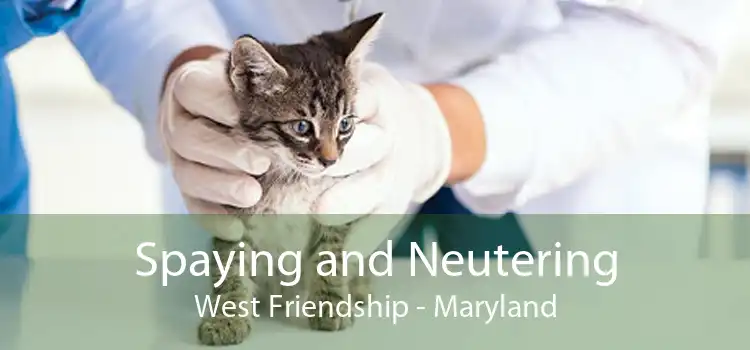 Spaying and Neutering West Friendship - Maryland