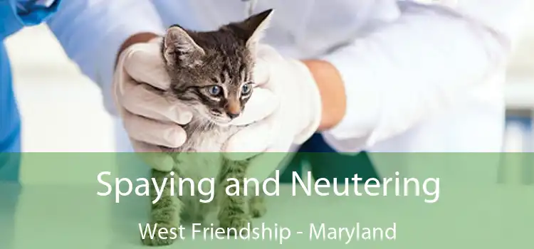 Spaying and Neutering West Friendship - Maryland