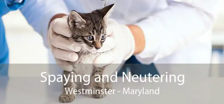 Spaying and Neutering Westminster - Maryland