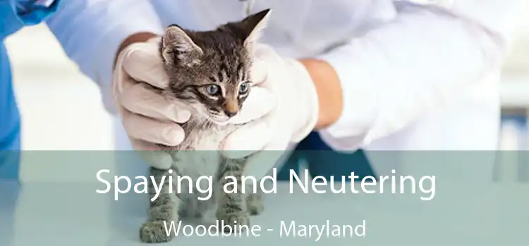 Spaying and Neutering Woodbine - Maryland