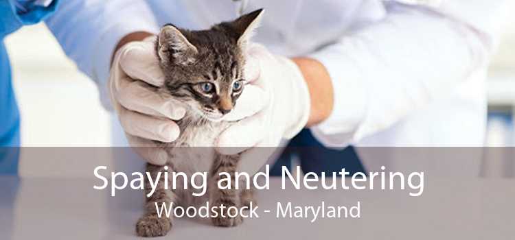 Spaying and Neutering Woodstock - Maryland