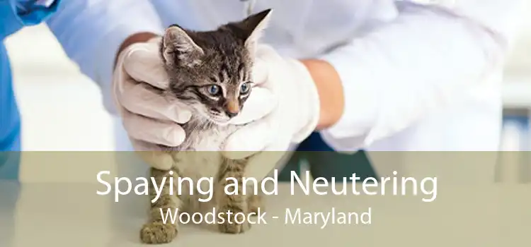 Spaying and Neutering Woodstock - Maryland
