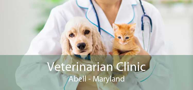 Veterinarian Clinic Abell - Maryland