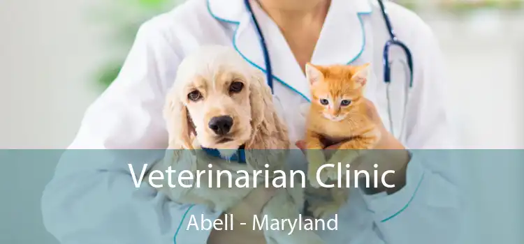 Veterinarian Clinic Abell - Maryland