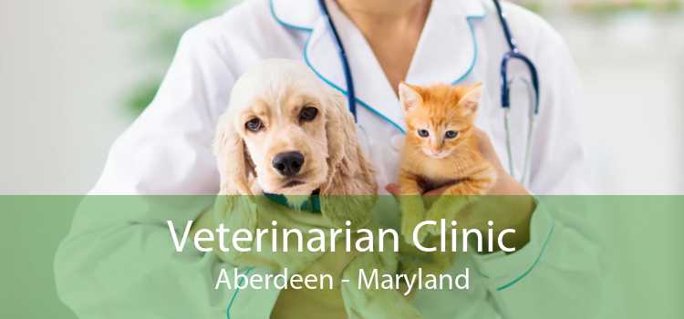 Veterinarian Clinic Aberdeen - Maryland