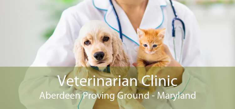 Veterinarian Clinic Aberdeen Proving Ground - Maryland