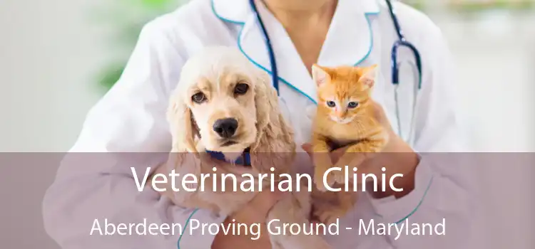 Veterinarian Clinic Aberdeen Proving Ground - Maryland