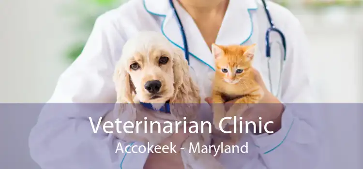 Veterinarian Clinic Accokeek - Maryland