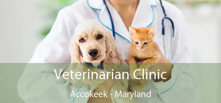 Veterinarian Clinic Accokeek - Maryland