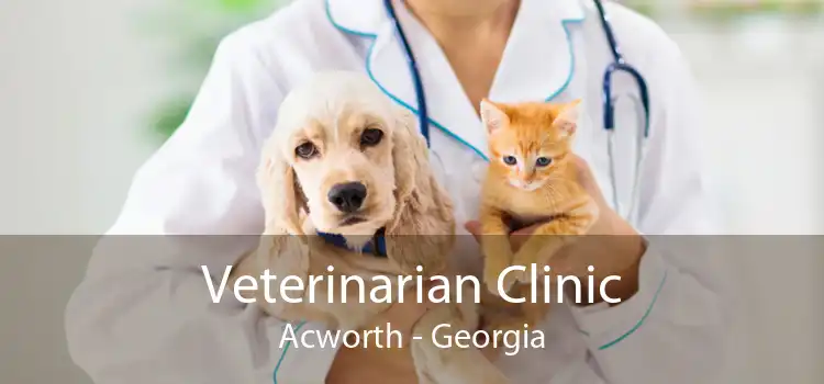 Veterinarian Clinic Acworth - Georgia