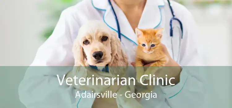 Veterinarian Clinic Adairsville - Georgia