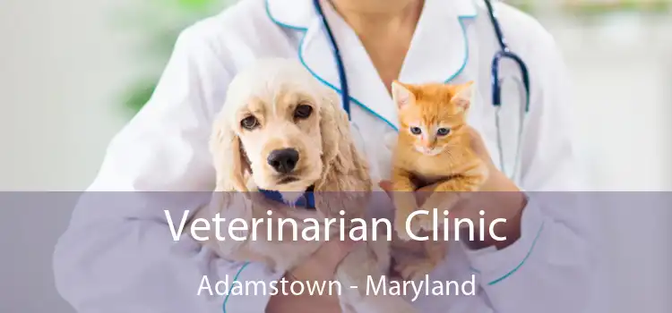 Veterinarian Clinic Adamstown - Maryland