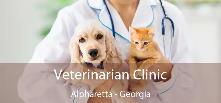 Veterinarian Clinic Alpharetta - Georgia