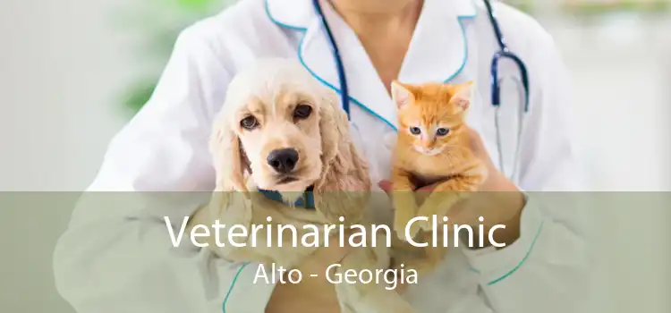 Veterinarian Clinic Alto - Georgia