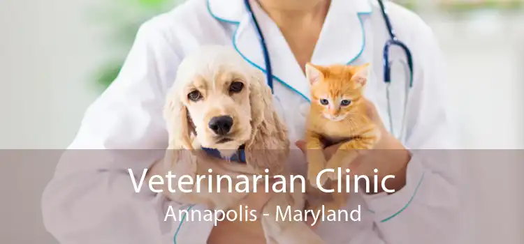 Veterinarian Clinic Annapolis - Maryland