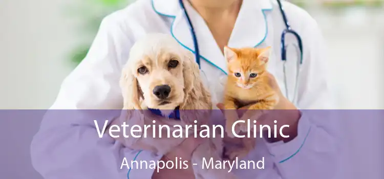 Veterinarian Clinic Annapolis - Maryland