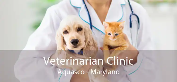 Veterinarian Clinic Aquasco - Maryland