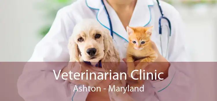 Veterinarian Clinic Ashton - Maryland