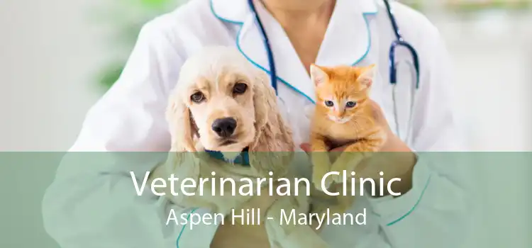 Veterinarian Clinic Aspen Hill - Maryland