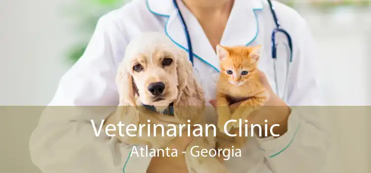 Veterinarian Clinic Atlanta - Georgia