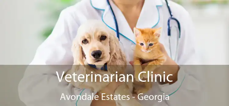 Veterinarian Clinic Avondale Estates - Georgia