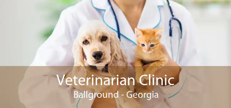 Veterinarian Clinic Ballground - Georgia