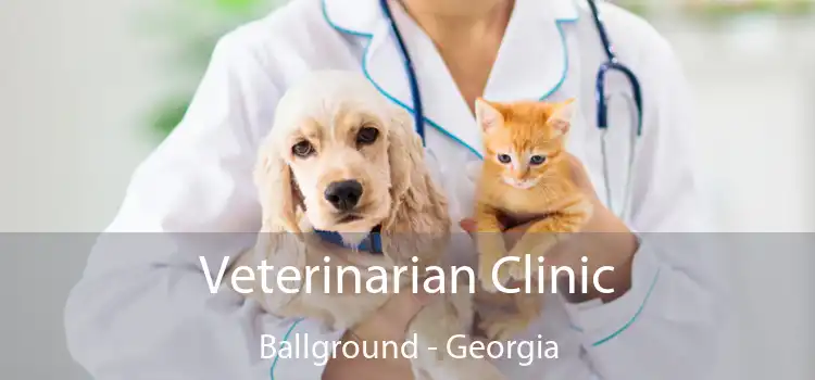 Veterinarian Clinic Ballground - Georgia