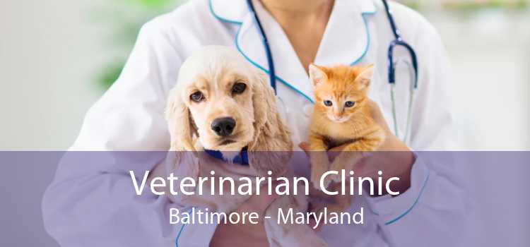 Veterinarian Clinic Baltimore - Maryland
