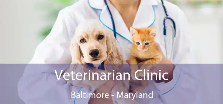 Veterinarian Clinic Baltimore - Maryland