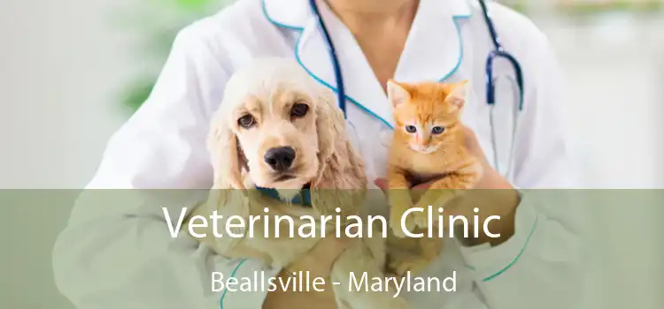 Veterinarian Clinic Beallsville - Maryland