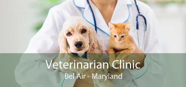 Veterinarian Clinic Bel Air - Maryland