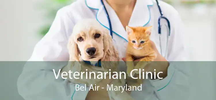 Veterinarian Clinic Bel Air - Maryland