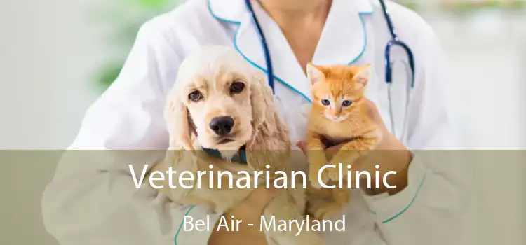 Veterinarian Clinic Bel Air - Maryland