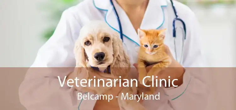 Veterinarian Clinic Belcamp - Maryland