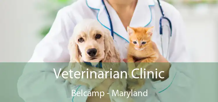 Veterinarian Clinic Belcamp - Maryland