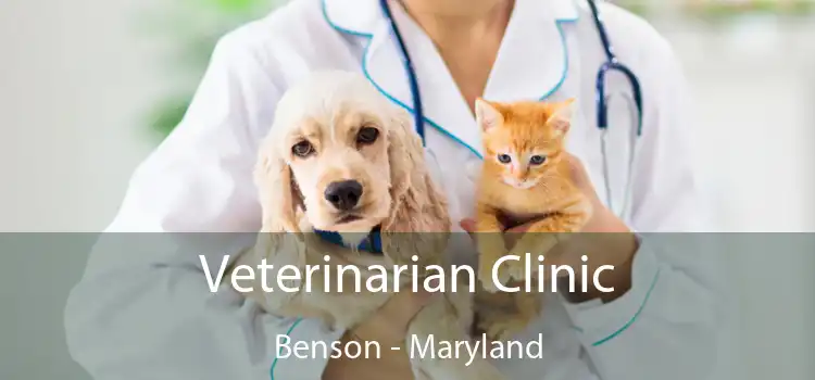 Veterinarian Clinic Benson - Maryland