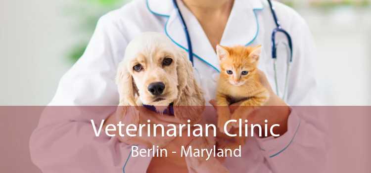 Veterinarian Clinic Berlin - Maryland