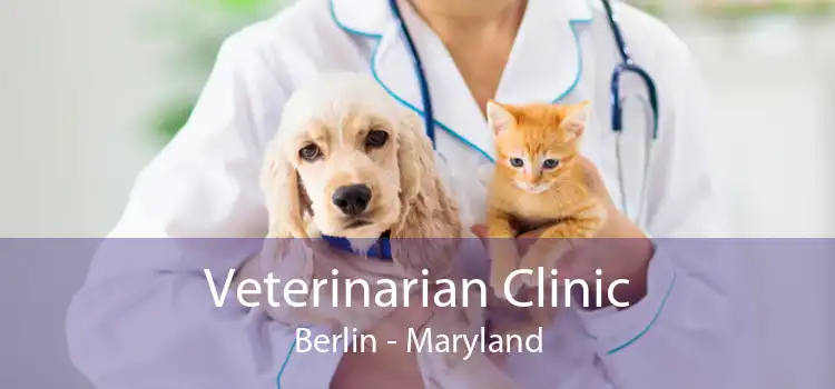 Veterinarian Clinic Berlin - Maryland