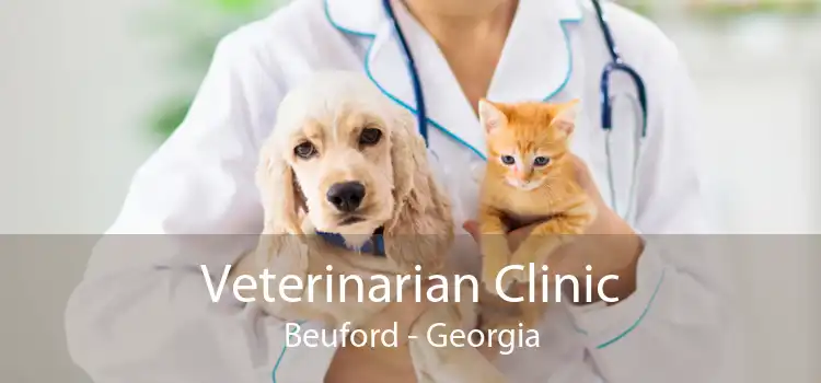 Veterinarian Clinic Beuford - Georgia